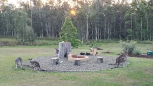 Image of Brooms head Retreat  accomodation