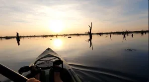 Image of Hot Tub, Kayaks, Underwater Fishing Light! Luxurious Pitch-n-Skip Hideaway!