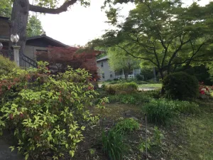 Image of Paw Paw Tree Estate Home with Three Bedroom Guest House.   Sleeps 19 +