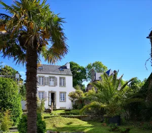 Image of The Blue Garden - Long term possible