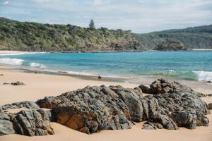 Image of A Dreamy Nature Escape Near Seal Rocks ~ Dog Friendly ~ Linen Provided