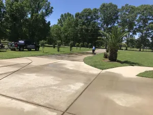 Image of Private Legacy Garden!  Share large home with plenty of privacy