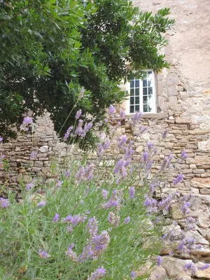 Image of XIth century castle