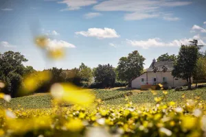 Image of La Maison du Clos du Roi, stay in the heart of Burgundy's vineyards