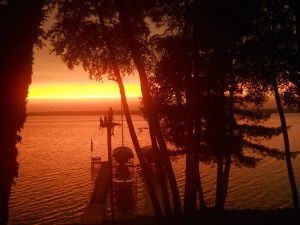 Image of WILDWOOD LODGE is nestled in the trees on FishHook Lake 2 miles from Park Rapids