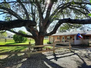 Image of One Old Oak, Charming Stone Farmhouse, 7-min to Downtown