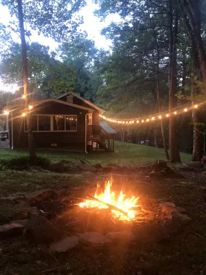 Image of Secluded Peaceful Cabin in the Forest