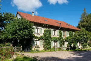 Image of In the Vosges, la Retorderie gîte: 11 people, sauna, fireplace, catamaran net