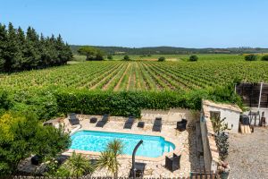 Image of Charming gite, heated pool, in a winegrowing estate 30 minutes from the sea.