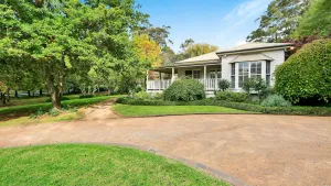 Image of Mirrabooka Burrawang