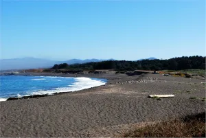 Image of Beach Haven - MacKerricher State Park nearby - Ocean View Home & Guest House
