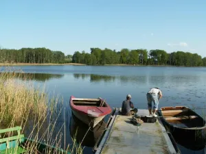 Image of Cottage in the forest, lake and Reiterhofnähe