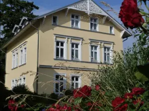 Image of Zum Donnerkeil