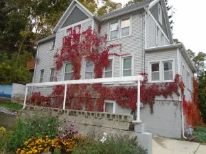Image of Lower flat steps from the lake and downtown