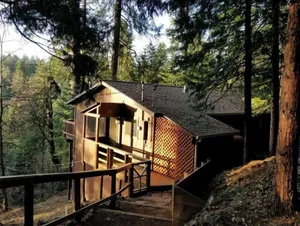 Image of Cedar Pines Cabin w\/ Fire Pit & Large Deck - BIG Trees - A Quaint Rustic Charmer