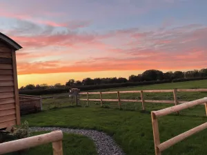 Image of 'Spring Time' at The Hut on a working farm by the South Coast