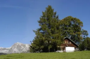 Image of Holiday house Wildhaus for 1 - 8 persons with 4 bedrooms - Holiday house