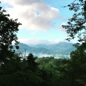 Image of THE BEAR DEN - Franklin's Most Beautiful Mountain View