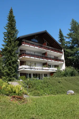 Image of Balmi Apartment - in the heart of the Alps