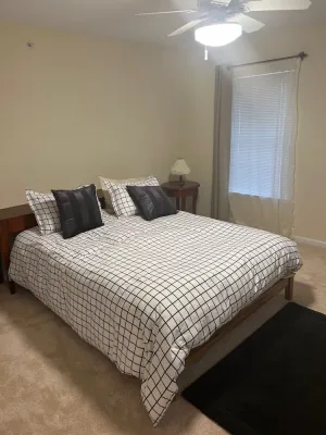 Image of Northern Comfort