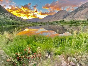 Image of Beautiful Lodge and Private 600 acre Canyon Paradise