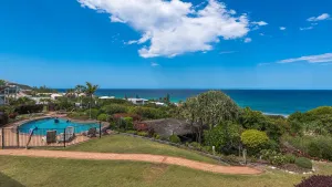 Image of Whale season is upon us, watch from your balcony