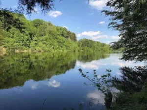 Image of Cozy & relaxing cottage on the lake *Dog Friendly*
