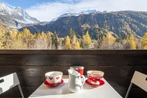 Image of Bel Apt Near The Slopes Argentiere