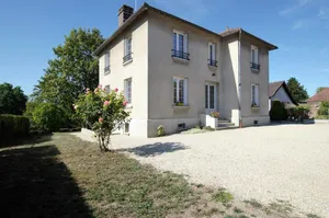 Image of Les libellules