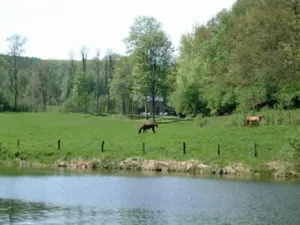Image of Bertogne: country holiday homes - 5 rooms - 6\/7 persons