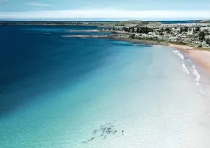 Image of Blue Beach House - dog friendly. Walk to  Beach, lake. Fish surf swim SUP dive