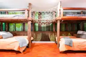 Image of Adventure house under the redwoods, with spa! 🌲