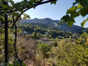 Image of GUEST HOUSE PANORAMIC VIEW OF THE HILLS FROM THE QUIET TERRACE