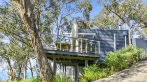 Image of Bluegums at Lorne