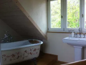 Image of The guesthouse - stylishly restored central town house (1895)