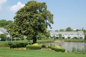 Image of Lakefront 3 bedroom townhouse in quiet community with pool