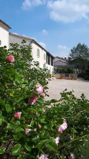 Image of Cosy cottage for 6-13 people