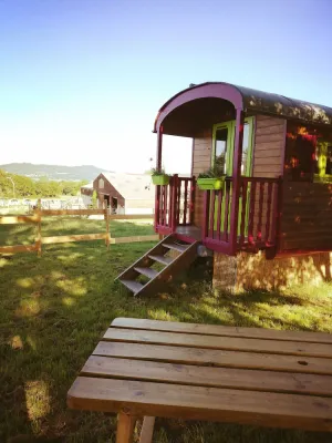 Image of Trailer on the farm