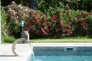 Image of Ancienne Commanderie, 18 pers, private heated pool and garden, quiet location