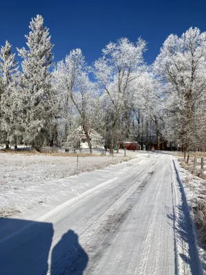 Image of Step back in time at Clarence's Place retreat, our little farm in the woods.