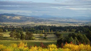 Image of Merrimont Downs