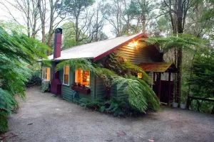 Image of Cottage in the Forest