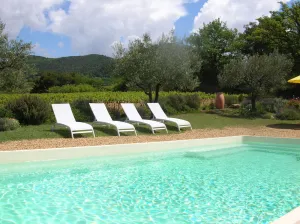 Image of Mas des oliviers