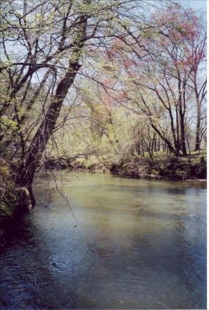 Image of River House with Pizzazz on the Upper Chattahoochee River