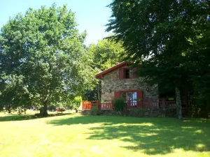 Image of Gure xokoa