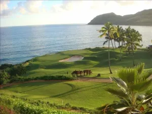 Image of Pukalani a Marriott Grand Residence
