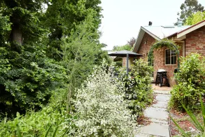 Image of Elms on Delany