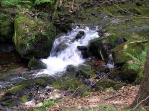 Image of House in the UNESCO Biosphere Reserve VESSERTAL 700 m asl for 1-12 people, 154 sqm