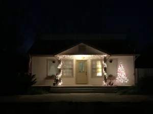Image of SHOTGUN HOUSE