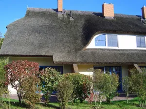 Image of Reetdachhaus Malve 3 im Feriendorf Puddeminer Wiek